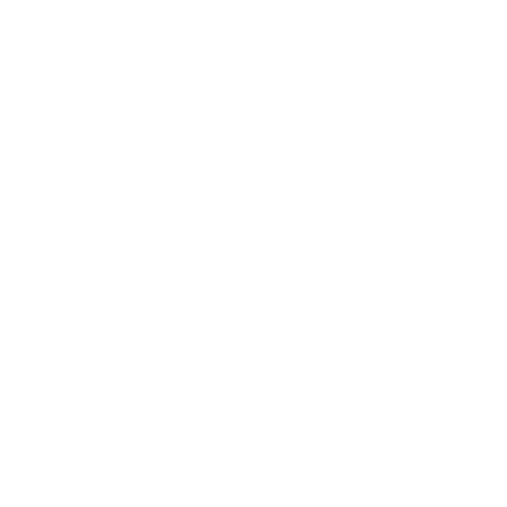 UD Las Chanclas